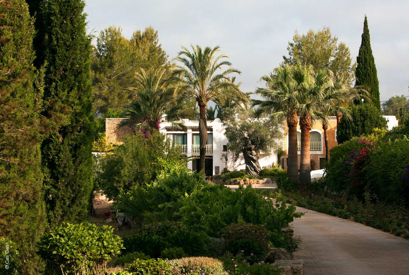 Cas Gasi | Ibiza Santa Gertudis | Außen | luxuszeit.com