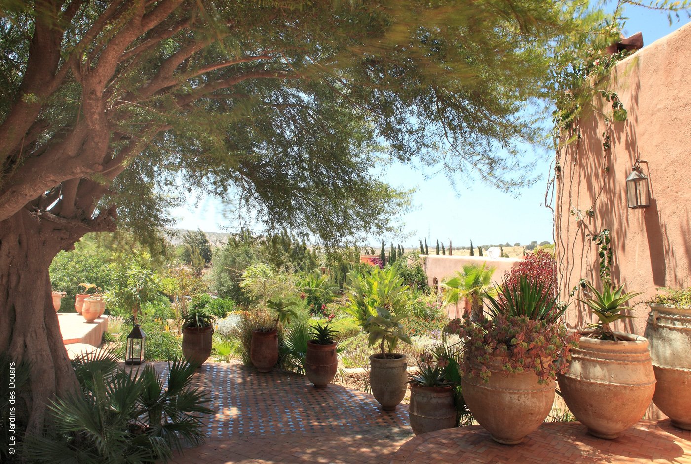 Le Jardins des Douars | Essaouira | Terrasse | Archiv | luxuszeit.com
