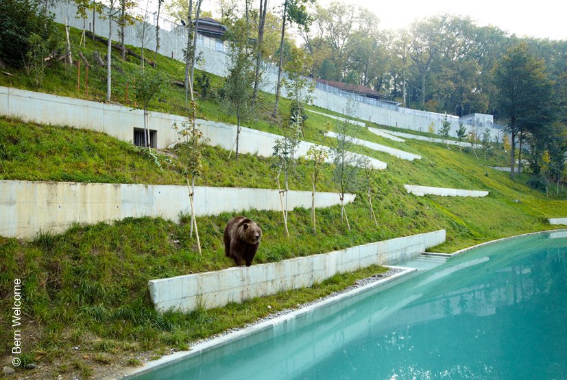 BärenPark | Bern | Schweiz | magazin | luxuszeit.com