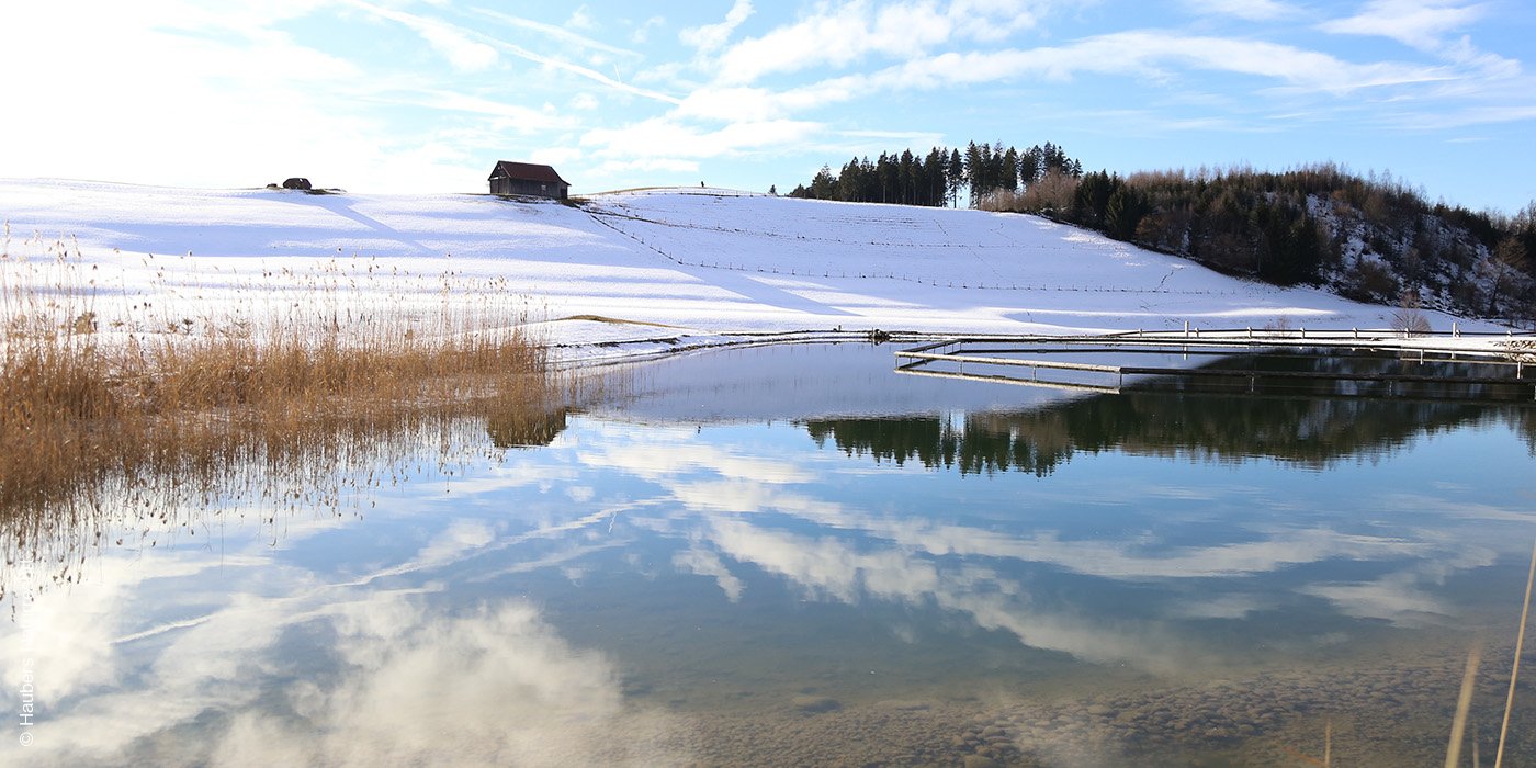 Haubers Naturresort | Oberstaufen | Deutschland | Naturbadeteich im Winter | luxuszeit.com