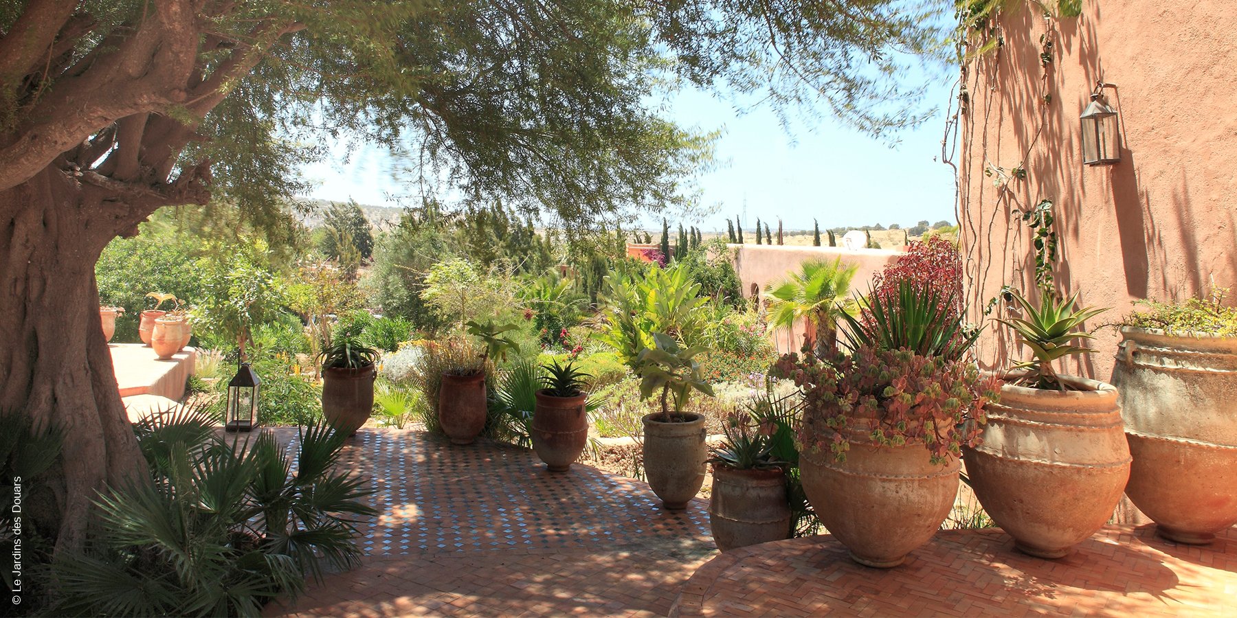 Le Jardins des Douars | Essaouira | Terrasse | luxuszeit.com