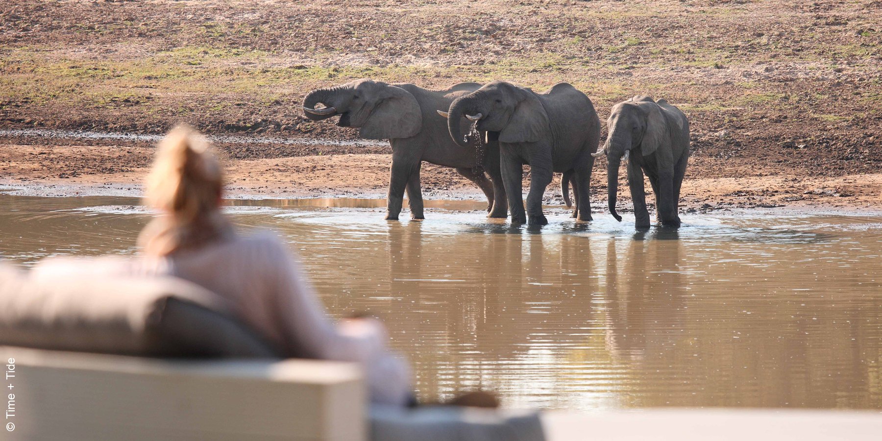 Time and Tide Chinzombo | South Luangwa | Relaxen neben badenden Elefanten | luxuszeit.com