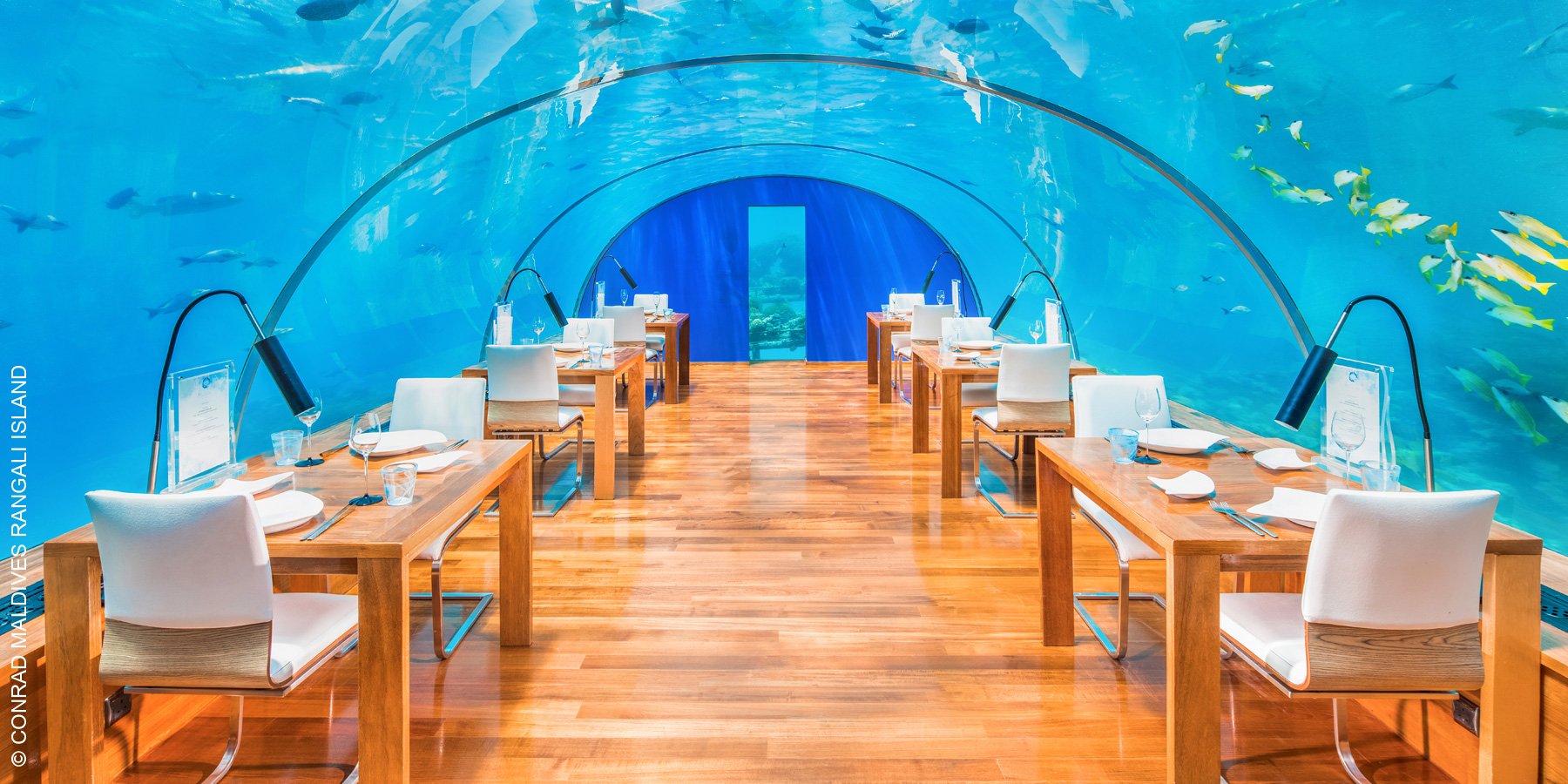 Conrad Maldives Rangali Island | Malediven | Ithaa Unterwasser Restaurant | luxuszeit.com